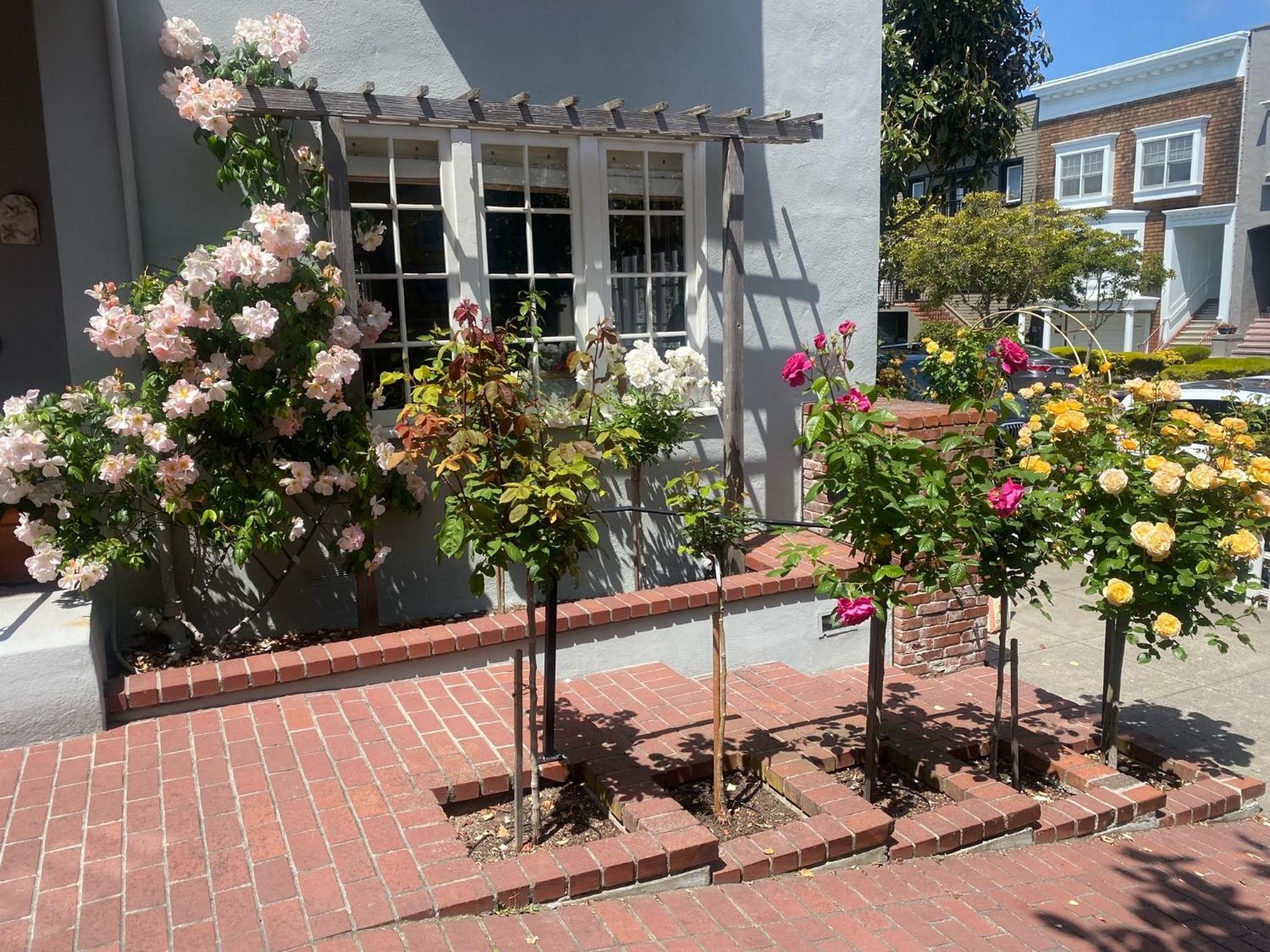 My Rosegarden Guest Rooms San Francisco Ngoại thất bức ảnh